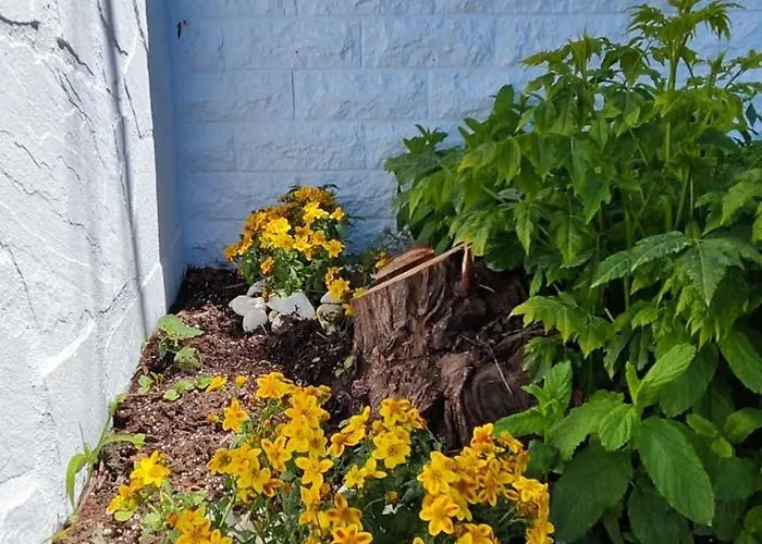 Melodia Di Mare Skála Kallirákhis